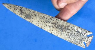 Petrified Palmwood Dogleg-Notch Point