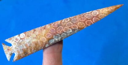 Indonesian Coral Corner-Notch Point - Image 2