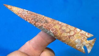Indonesian Coral Corner-Notch Point