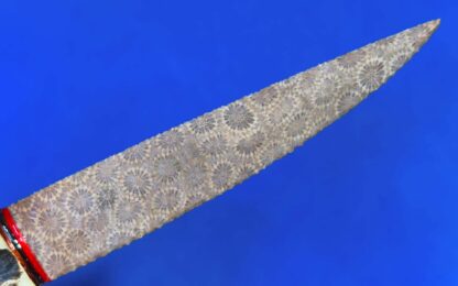 Indonesian Petrified Coral Knife - Image 2