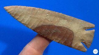 Buffalo River Lost Lake